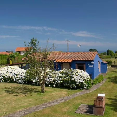 Complejo Rural Alheli - Y Apart Otel