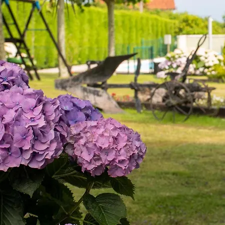 Aparthotel Y Casa Bego 2*