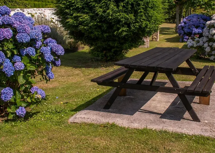 Complejo Rural Alheli - Y Aparthotel 2*