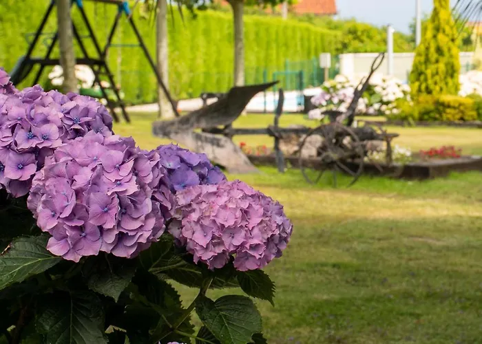 Aparthotel Complejo Rural Alheli - Y 2*