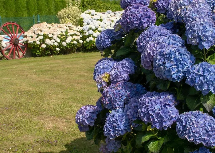 Aparthotel Complejo Rural Alheli - Y