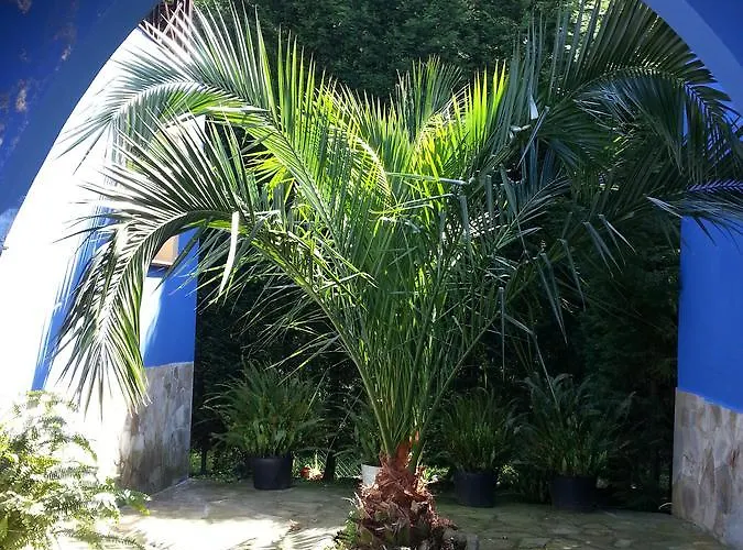 Complejo Rural Alhelí - Y Apartahotel 2*